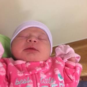 Meet your Posher, Greg